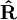 \bold{\hat{R}}