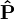 \bold{\hat{P}}